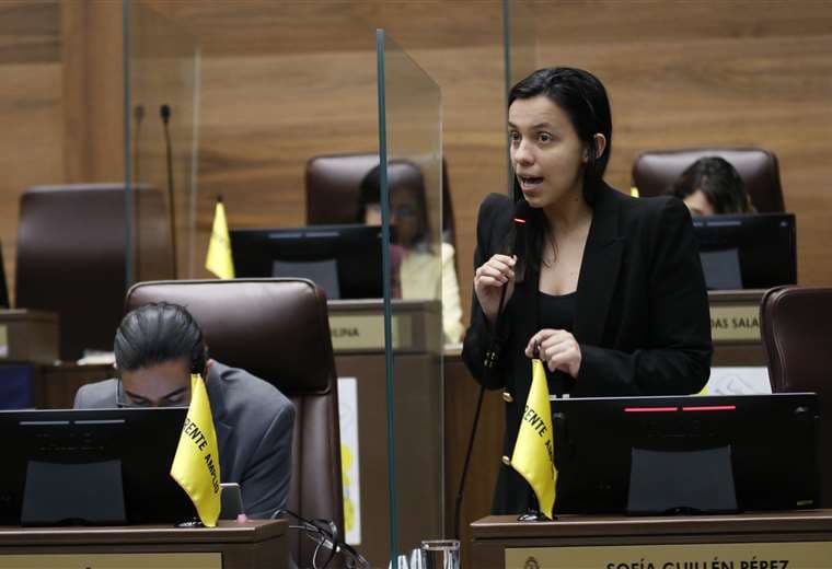 ¿Por qué llegó Sofía Guillén al Plenario pese a estar en licencia de maternidad?