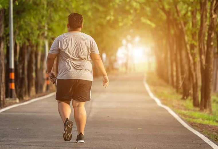 Proponen declarar obesidad como enfermedad crónica y obligar al Estado a combatirla