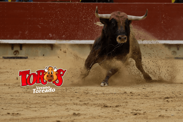 Guanacaste se luce en Toros Teletica: espectáculo con sello folclórico