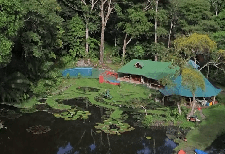 Proyecto en Buenos Aires de Puntarenas usa plantas exóticas para transformar aguas residuales