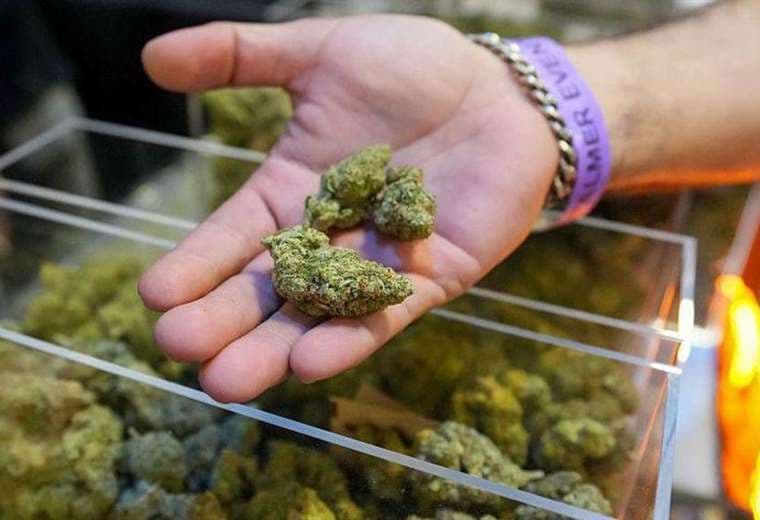 Trump amplía acceso a marihuana con mayor cambio a política de drogas de EE. UU. en décadas