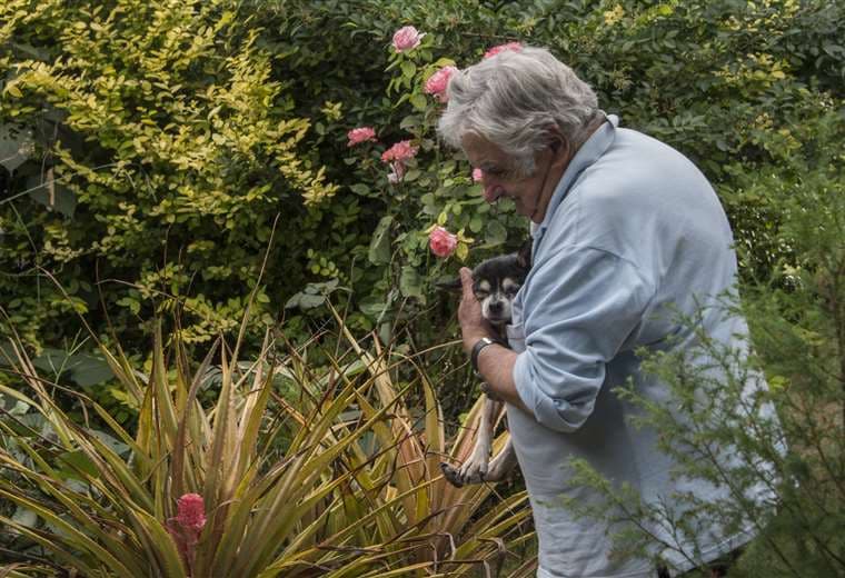 “Adiós amigo”, “viejo querido”: el mundo llora la muerte de “Pepe” Mujica