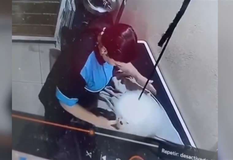 Video: Perro necesita cirugía tras aparente maltrato en veterinaria de San Sebastián