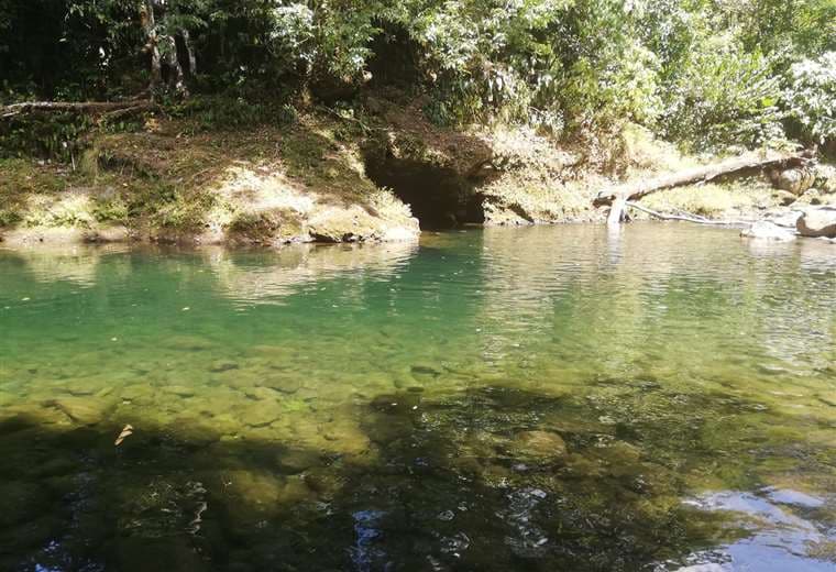 Cuerpo hallado en Guápiles tiene quemaduras y orificios en la cabeza