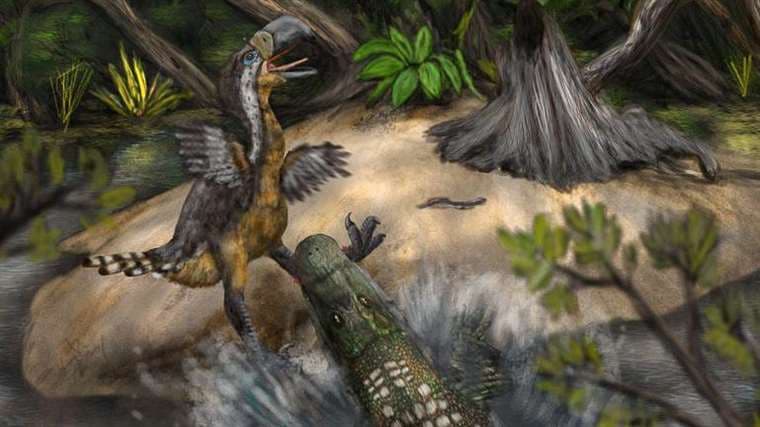 "Ave del terror": qué dicen los últimos hallazgos en Colombia sobre el enorme reptil que atemorizó a Sudamérica hace 13 millones de años