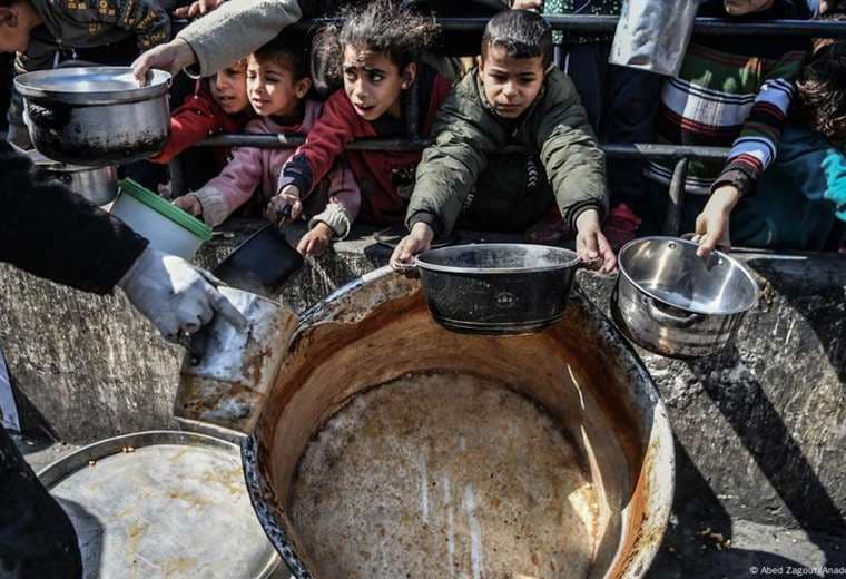 Médicos Sin Fronteras: 25% de niños y embarazadas de Gaza sufren desnutrición