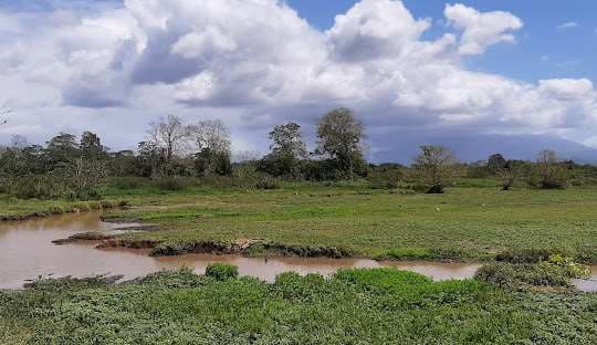 Hallan cuerpo en descomposición durante dragado de río en Upala