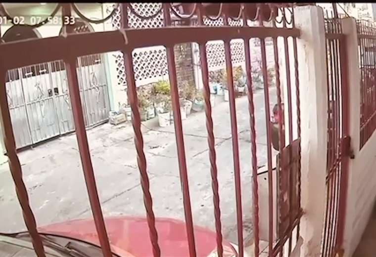 Aparecen los primeros videos que muestran la fuerza del sismo que sacudió a México este viernes