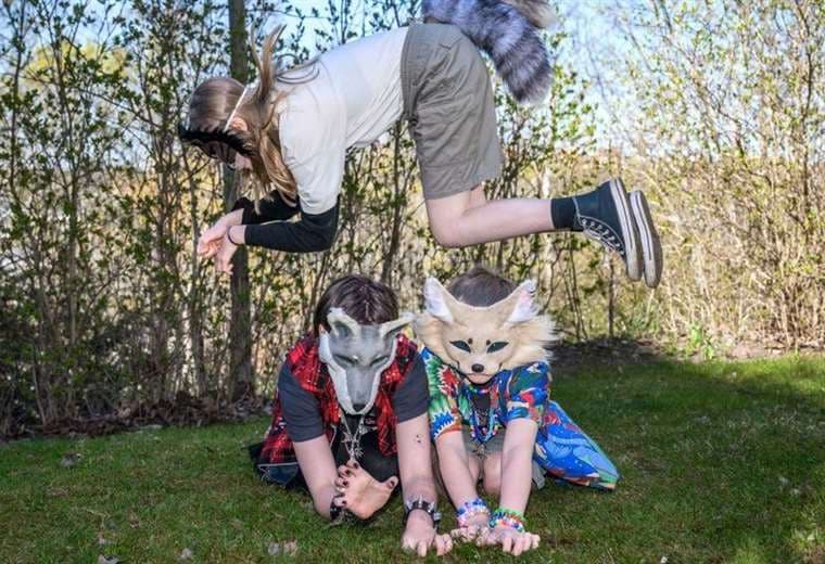 Colegio de Veterinarios de Costa Rica indica qué hacer si ‘therians’ solicitan atención