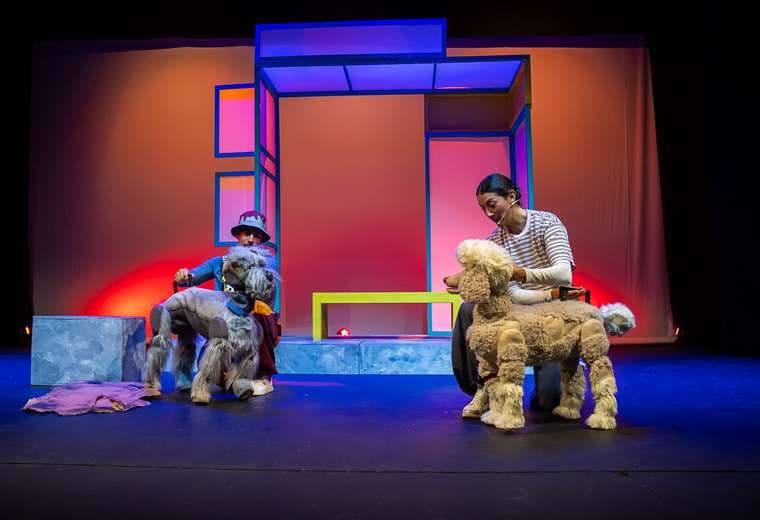 Entre risas y reflexión: obra familiar visibiliza el abandono de mascotas en Costa Rica