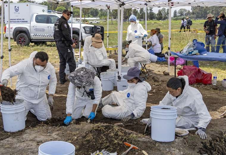 ONG que buscan desaparecidos hallan más de un millar de fragmentos óseos en Ciudad de México