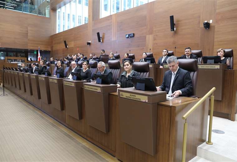 PLN anuncia que votará en contra del proyecto de armonización