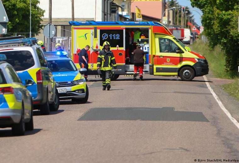 Tigre escapa de propiedad privada en Alemania, hiere a cuidador y es abatido por policías