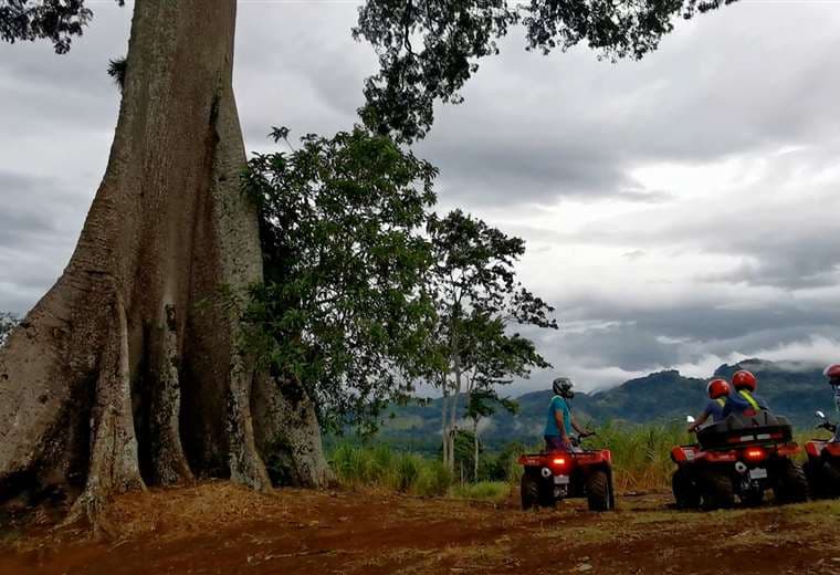 Pegando con Cerca: ¡Le mostramos aventuras, sabores y paisajes de Turrialba!