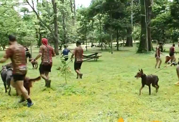 ¿Qué es el ‘canicross’?