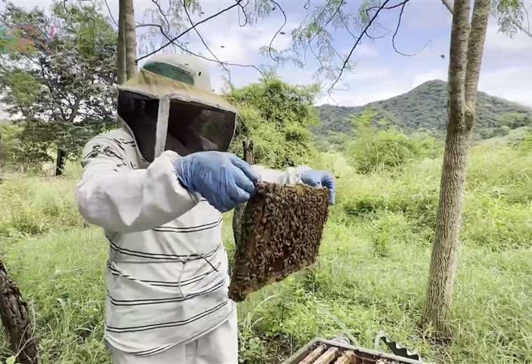 Israel Quesada y la bebida de los dioses: hidromiel desde Colorado de Abangares