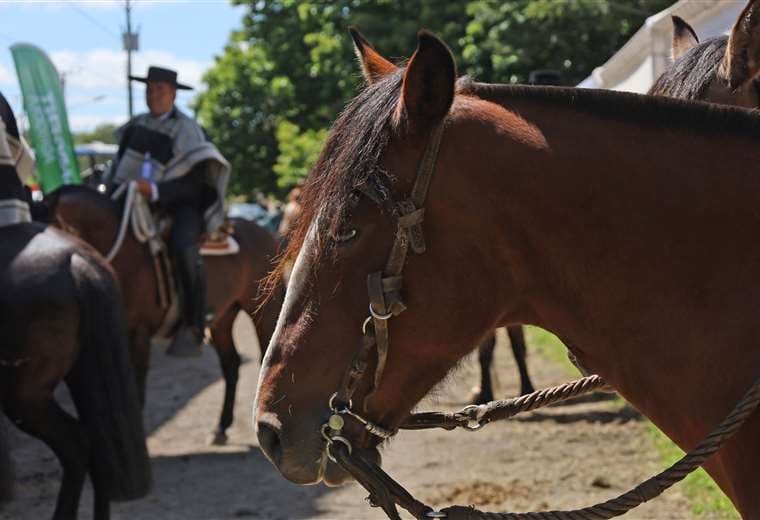 San Ramón se prepara para recibir a caballistas en el Tope Nacional 2025