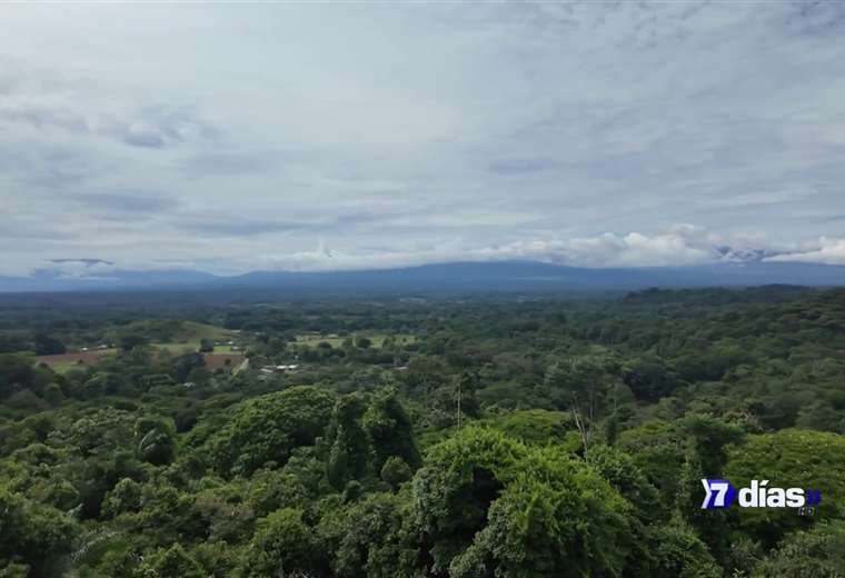 Alianza entre buenos vecinos