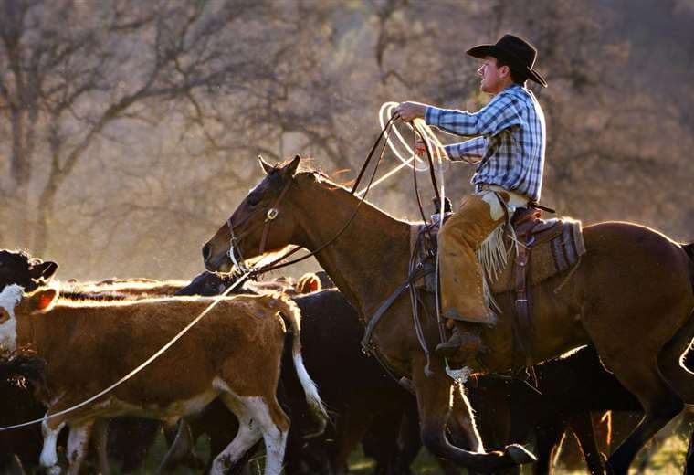 “Traición”: Ganaderos en EE. UU. estallan porque Trump quiere importar más carne argentina