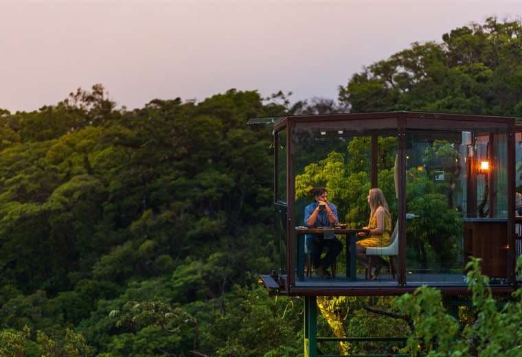 Restaurante de Monteverde entre los más singulares del mundo, según Tripadvisor