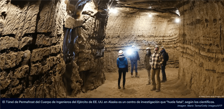 Reactivan microbios del permafrost que tienen 40.000 años