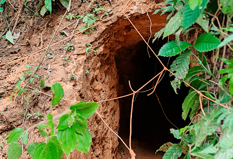 Implosión de 34 túneles en Crucitas intenta frenar extracción ilegal de oro