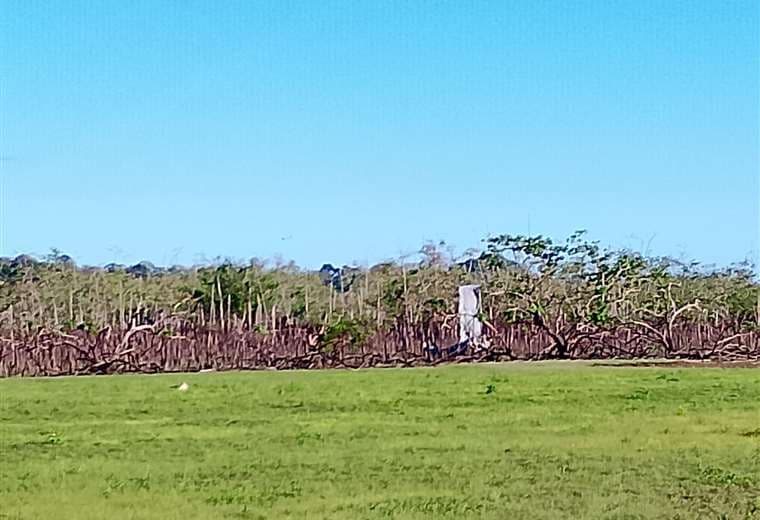 “Es un vuelo irregular”, dice Aviación Civil tras caída de avioneta en Puerto Jiménez