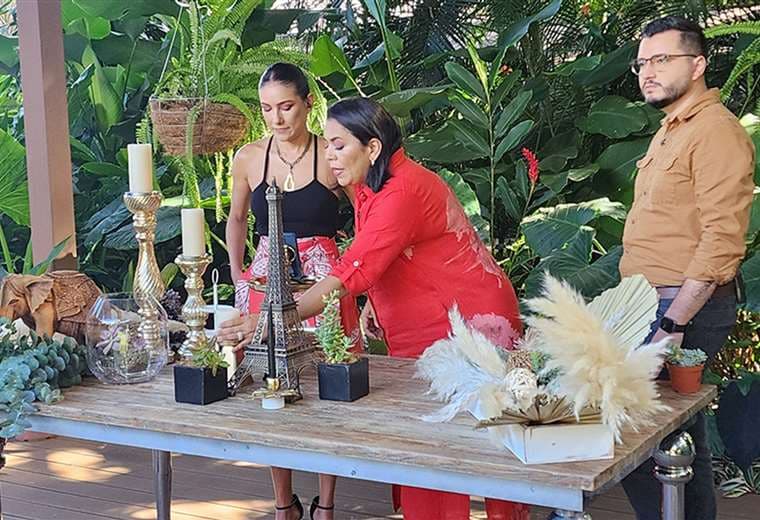 Ideas con suculentas: guía para decorar su casa con elegancia natural