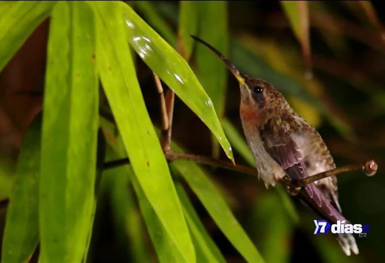 Quepos: Más allá de Manuel Antonio
