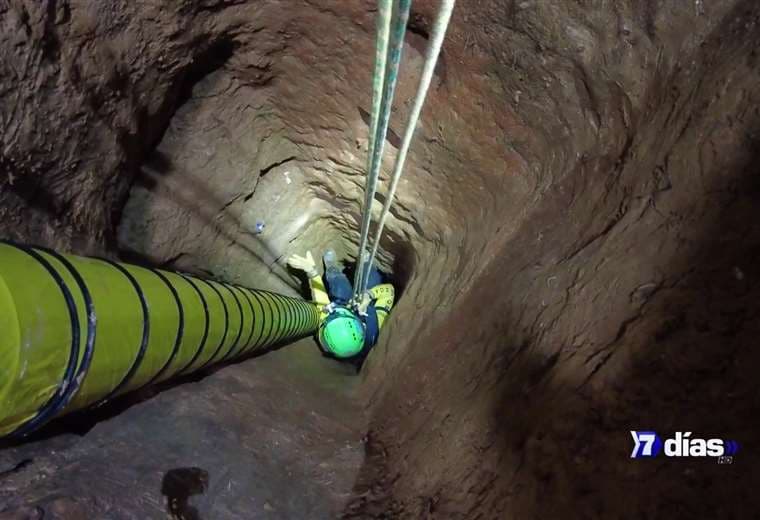 Crucitas bajo tierra