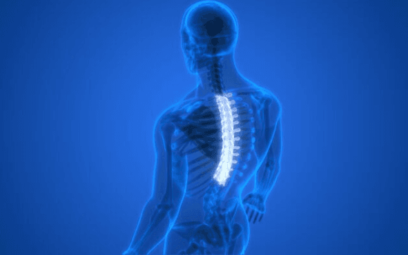 Esperanza para paralíticos: médulas espinales restauran movilidad de ratones