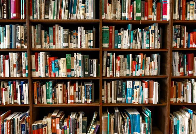 Editorial acusa a OpenAI de violar derechos de autor de libros infantiles en Alemania