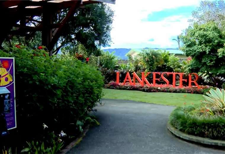 Jardín Botánico Lankester: un lugar de desconexión entre orquídeas