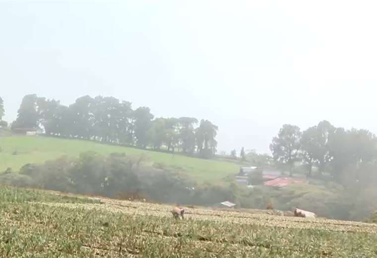 “Nunca había sentido un frío así”: Vecinos de Tierra Blanca experimentan temperatura de 10 °C