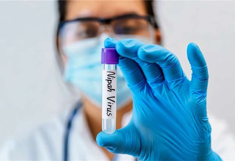 ¿Qué es el virus Nipah y qué tan probable es que llegue a Costa Rica?