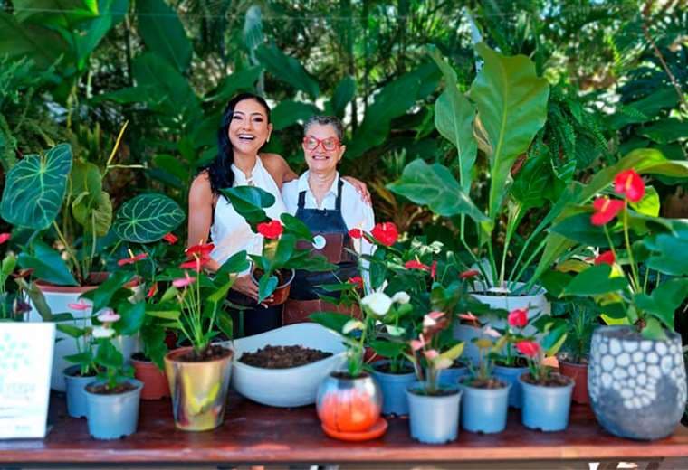 Anturios: secretos para una floración saludable