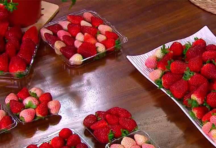 Fresas: sabor dulce con grandes beneficios para su salud