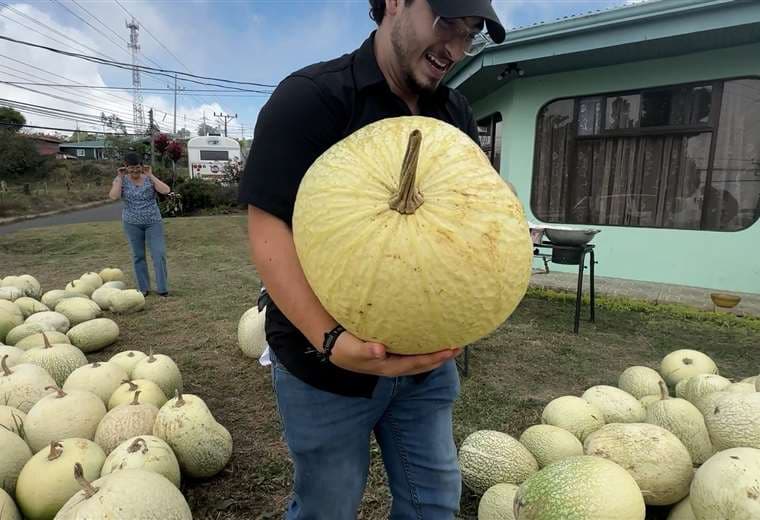 Todo listo en Zarcero para cinco días dedicados al chiverre y a la tradición costarricense