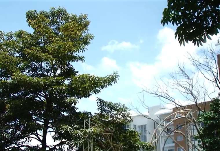 Fuertes vientos serán una constante en este inicio de semana