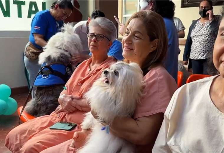 Doctores de cuatro patas: vea cómo funciona esta unidad de terapia en el San Juan de Dios