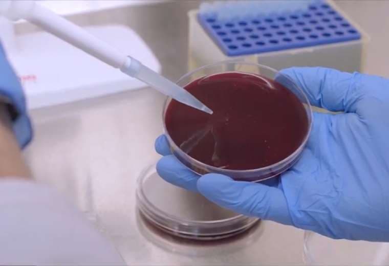 Vecina de Ciudad Colón cuenta lo que vivió tras contagiarse de Salmonella