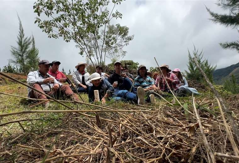 Este pueblo de El Guarco se unió para crear la primera marca comunitaria de café en el país