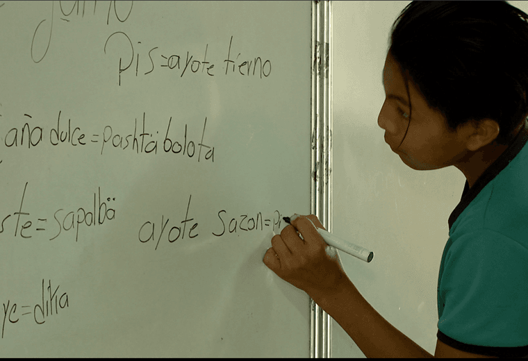 Territorios indígenas buscan preservar su lengua desde las aulas