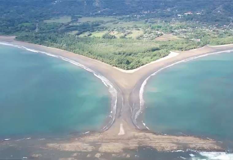 La protesta que salvó la cola de ballena: el paraíso que casi desaparece